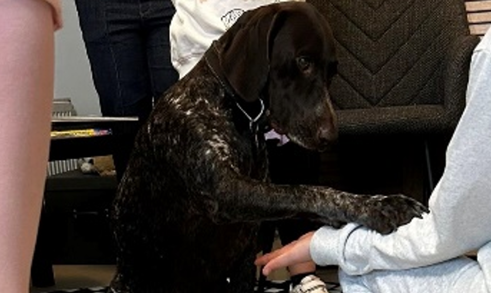 Dzień Otwarty – zdjęcie 1